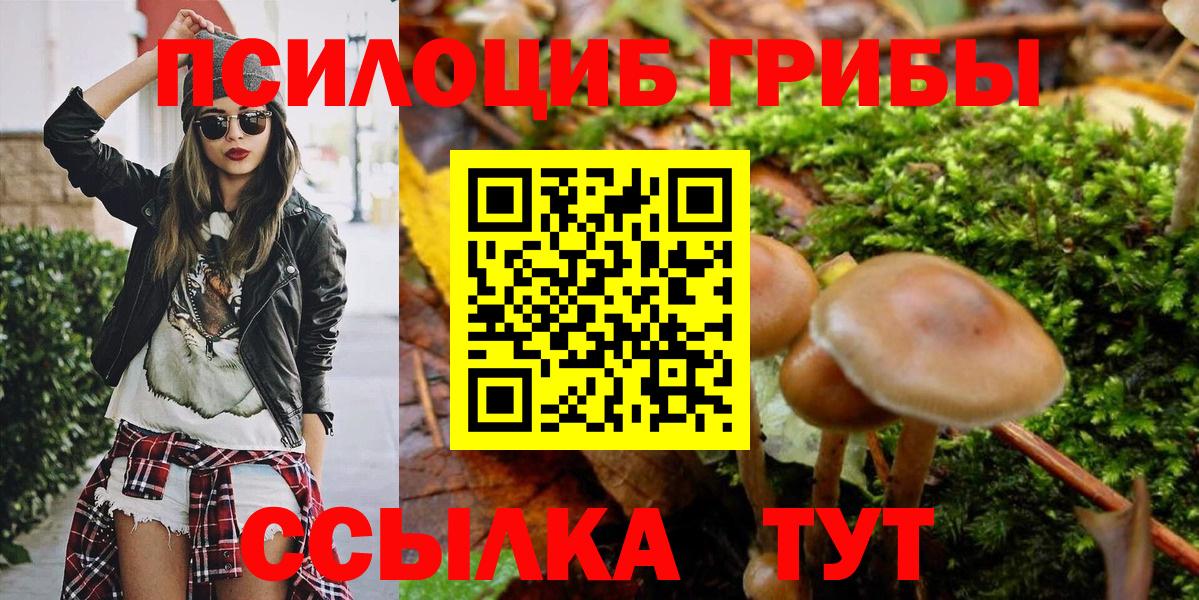 Псилоцибиновые грибы MAGIC MUSHROOMS  Вход с VPN  Псилоцибиновые грибы GOLDEN TEACHER  как найти наркотики  Изобильный 
