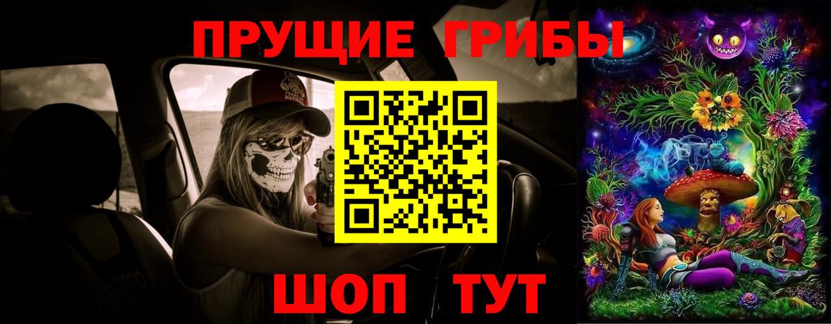 Галлюциногенные грибы Cubensis Изобильный